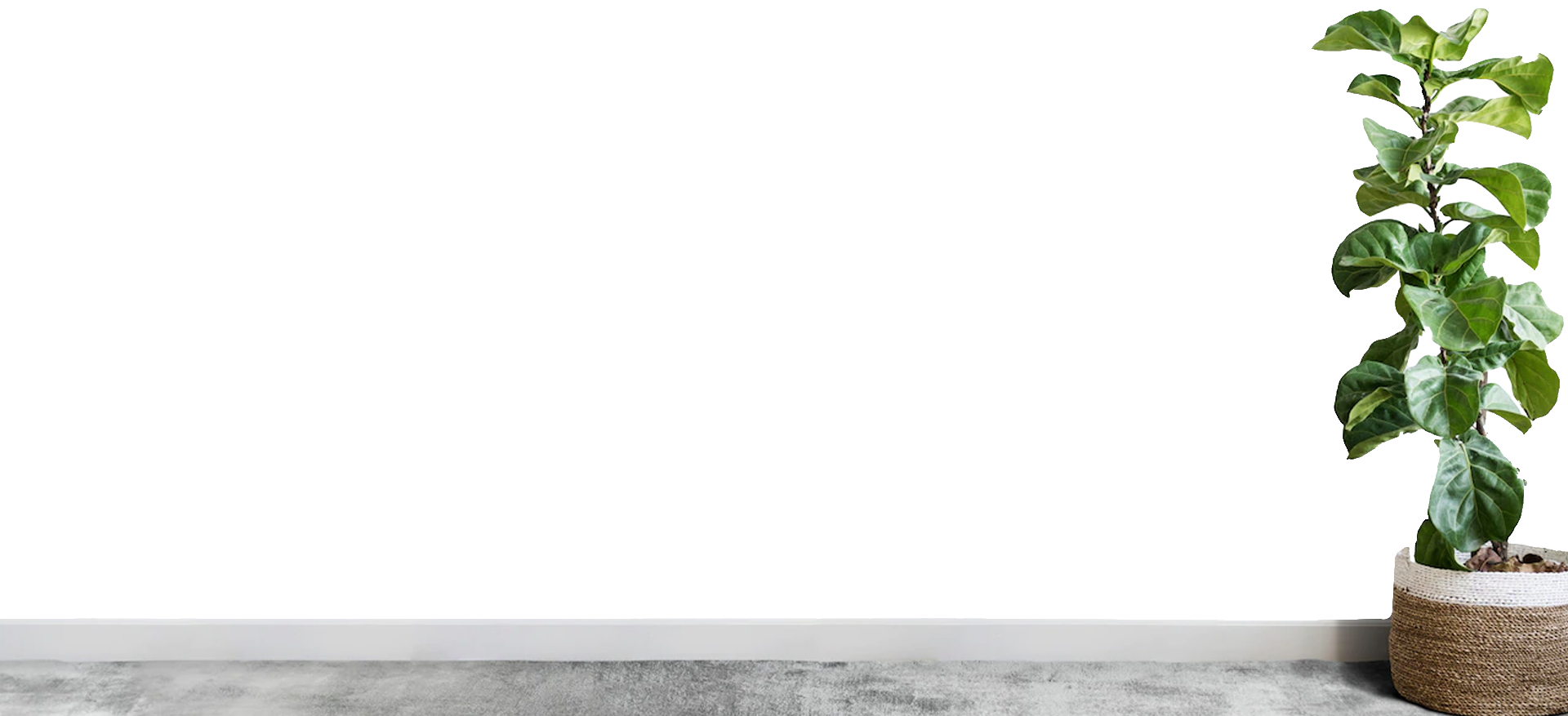Bottom layer